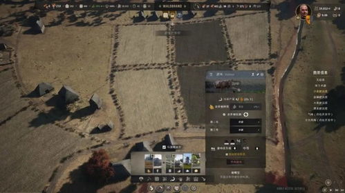 《庄园领主》摊位紧缺？高效扩容攻略大揭秘！