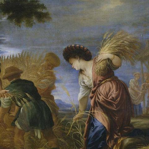 《庄园领主》无限金币攻略：领主财富快速积累新技巧