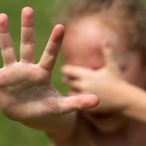 庄园领主布局攻略：揭秘高效建筑新策略