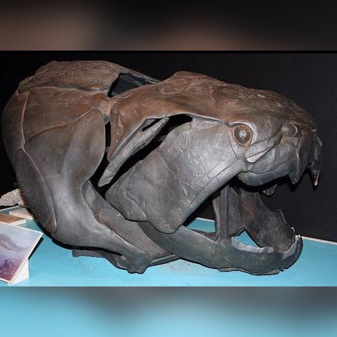 剑星星刃全12条辅助脊椎高效攻略，轻松通关秘籍大公开