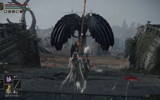 艾尔登法环黑剑眷属高效攻略，掌握逃课技巧轻松取胜