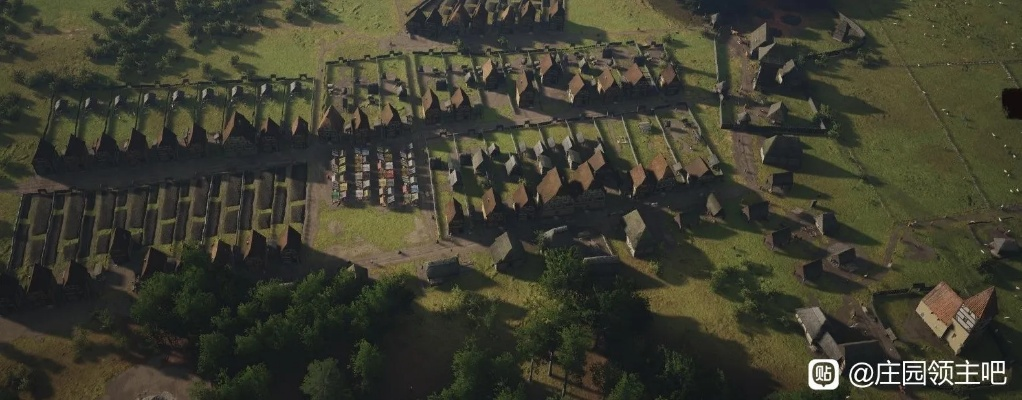 庄园布局攻略：打造《庄园领主》高效领地新策略