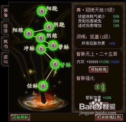 《新手攻略揭秘：江湖2避坑要领，核心点位与经脉加点开荒秘籍》