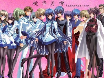 《物华弥新》蝠桃瓶攻略：深度解析最佳配队与装备升级