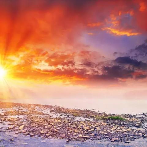 《恶意不息》高效背包扩充攻略：解锁无限格子新技巧