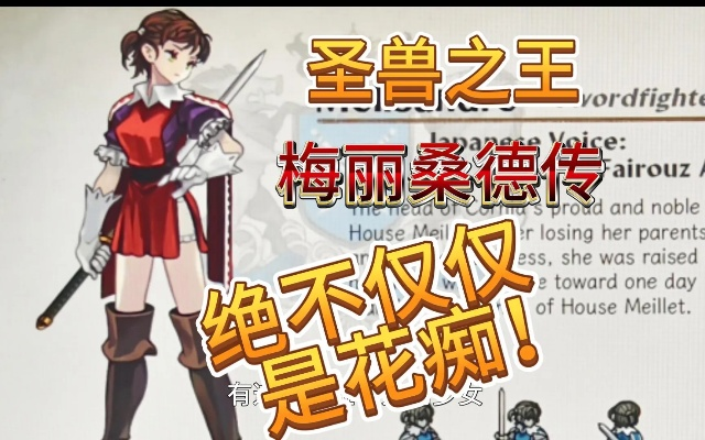 梅丽桑德装备攻略：打造圣兽之王最强阵容秘籍