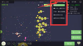 麦芬攻略：躁动绿洲之丘补师视角深度解析，解锁全新战斗技巧