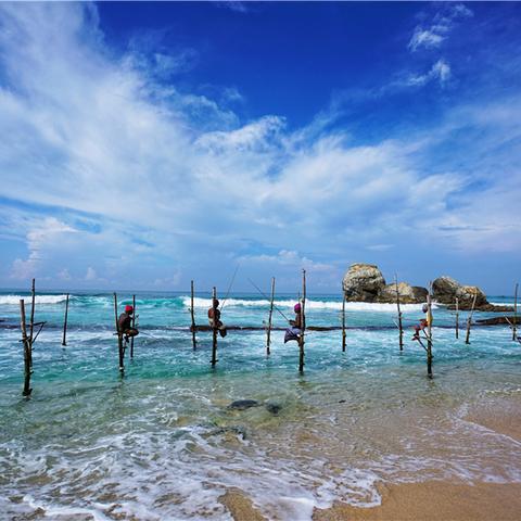 《欢乐钓鱼大师》称号鱼攻略：轻松掌握钓法技巧