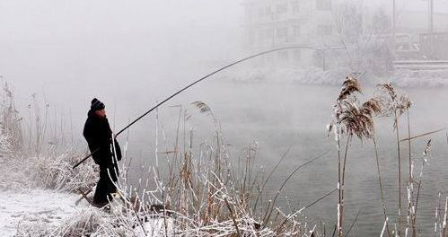 樱飘雪垂钓秘籍：掌握大师级樱飘雪钓鱼技巧