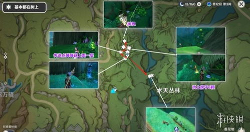 《原神》树王圣体菇攻略：高效采集路线与购买指南揭秘