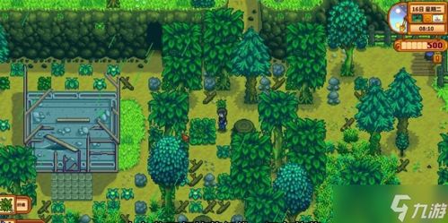 《星露谷物语》1.6全物品售价揭秘攻略大全