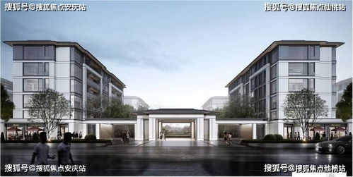 紫阙金琅2.0套装深度解析：揭秘无畏新价值