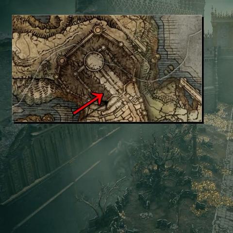 《艾尔登法环》玩家心声集结：深度解析留言版面宝藏