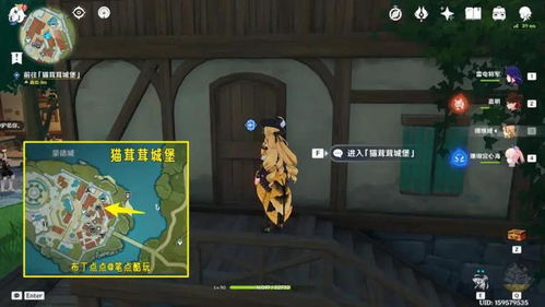 茸茸城堡大喵险四关攻略：高效通关秘籍，轻松解锁新境界