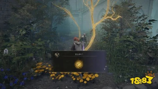 《艾尔登法环》全魔法秘境探秘指南，解锁神秘力量宝藏