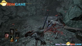 阿雷古托斯地下墓穴攻略：深度解析物品收集技巧与路线