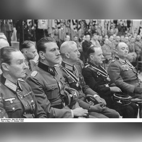 《帝国神话》伐木速刷攻略：高效提升新技能秘籍