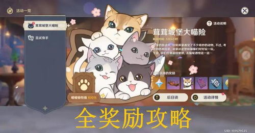 茸茸城堡大喵险攻略：解锁萌宠养成新秘籍