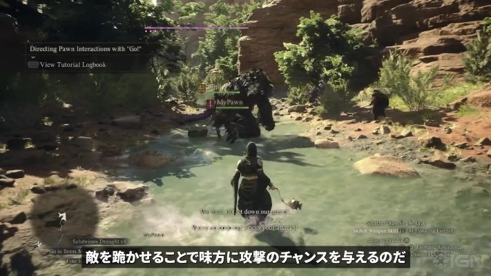 幻术师奥秘解析：揭秘《龙之信条2》全新技能震撼力