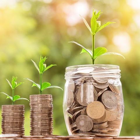 《塞尔达传说荒野之息》高效赚钱秘籍，轻松解锁财富新境界