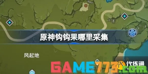 《原神》4.5版本钩钩果高效采集攻略，解锁神秘新技巧
