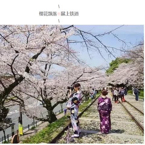 《崩坏星穹铁道》梦境护照14星贴攻略：高效收集秘籍大公开