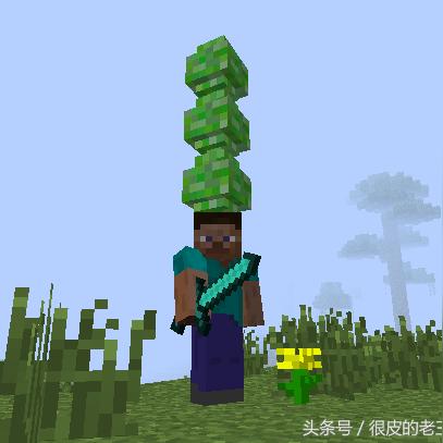 打造独特色彩：Minecraft单生物群系世界构建秘籍