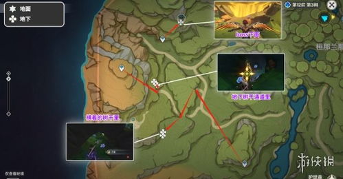 高效攻略！原神万相石采集路线详解，轻松获取新价值