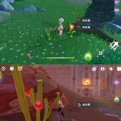 《原神》赤念果高效采集攻略：一图掌握分布秘境