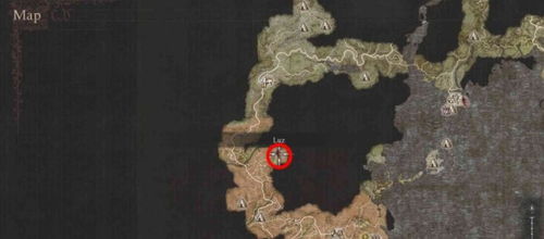 《龙之信条2》幻术师大师速解攻略，轻松解锁新境界！