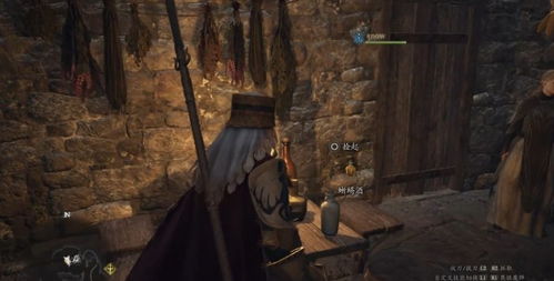 《龙之信条2》美杜莎魔弓攻略：高效获取与强化技巧揭秘