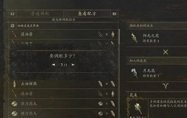 掌握《龙之信条2》精灵语精髓，解锁森林语学习秘籍