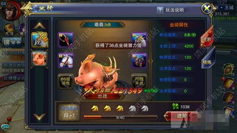 龙选者技能攻略：实战解析，优化策略新视角