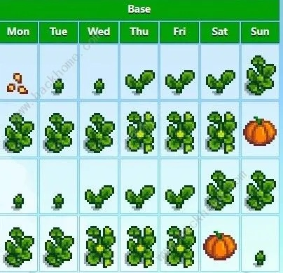 星露谷物语烘干机操作攻略，解锁高效晾晒新技能