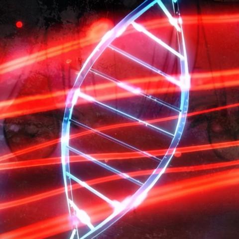 《逆向坍塌面包房探秘：独特玩法揭秘，游戏体验新升级》