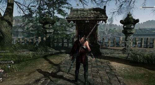 《浪人崛起》剑士支线攻略：被逐剑士任务全解析，高效崛起新技巧