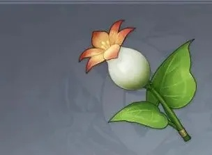 嘟嘟莲高效采集攻略：解锁神秘元素价值新途径