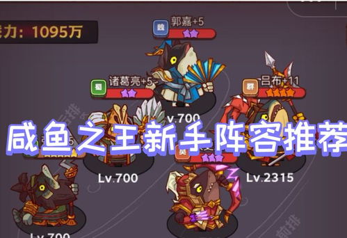 狂暴狮王队搭配攻略，深度解析新视角！