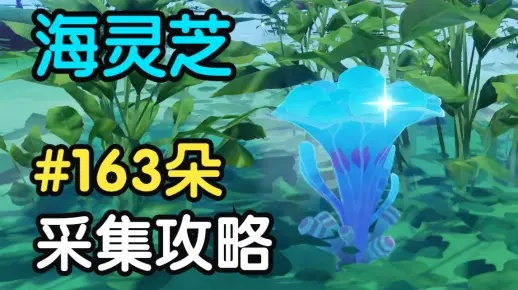 《原神》海灵芝高效采集攻略，解锁神秘新技巧