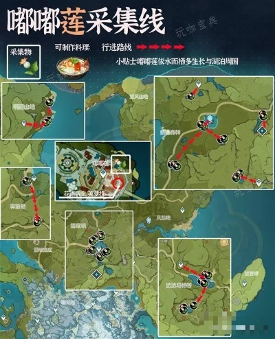 原神嘟嘟莲高效采集攻略，快速获取新技巧分享