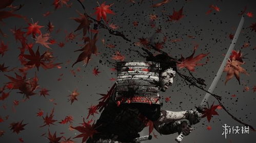 《对马岛之魂》PC版发售日揭晓：探寻神秘岛屿新篇章