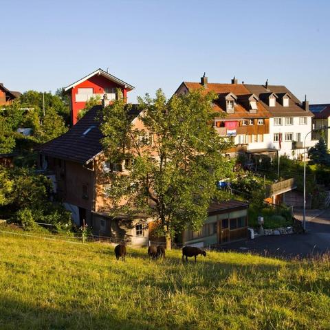 《崩坏星穹铁道》2.0版情绪齿轮攻略：高效收集秘籍大公开