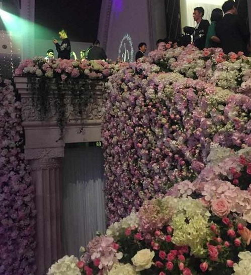 星穹铁道花火毕业解析：揭秘全新价值成长路径