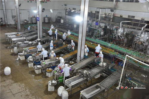 《原神》4.4版本魈攻略：全面解析，高效培养新秘籍