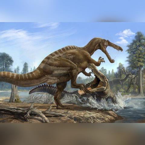 《最终幻想7重生》海岸约会攻略：解锁浪漫新体验