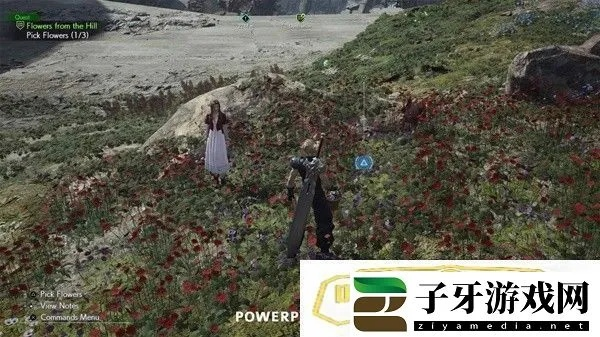 《最终幻想7重生》山丘花语探秘：解锁花朵支线新价值