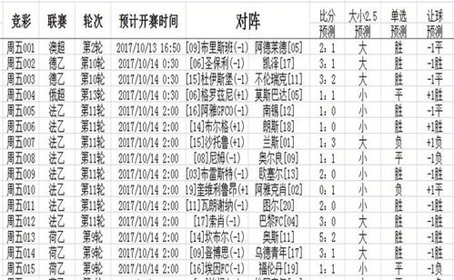 哐哐锵锵王山行攻略：深度解析，高效通关秘籍大公开