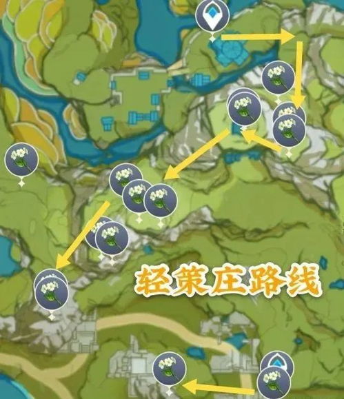 《原神》初露之源攻略：高效采集路线解析，轻松获取新秘境宝藏