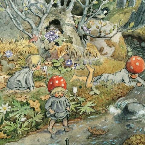 《森林之子》全探索揭秘：深度攻略视频1.0版深度解析