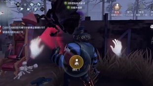 史老头黄花蜂秘境攻略：解锁古龙风云录新境界